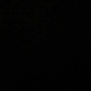 Meet your Posher, Daniella